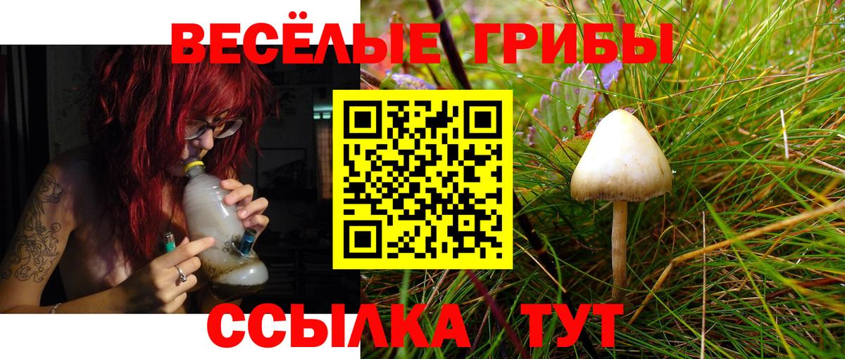 Псилоцибиновые грибы MAGIC MUSHROOMS Большой Камень