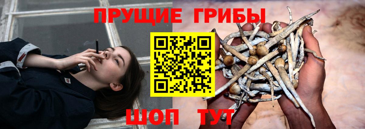Большой Камень  Галлюциногенные грибы Magic Shrooms  Вход с VPN 